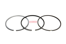ANEIS PISTAO MOTOR STD 800110810000