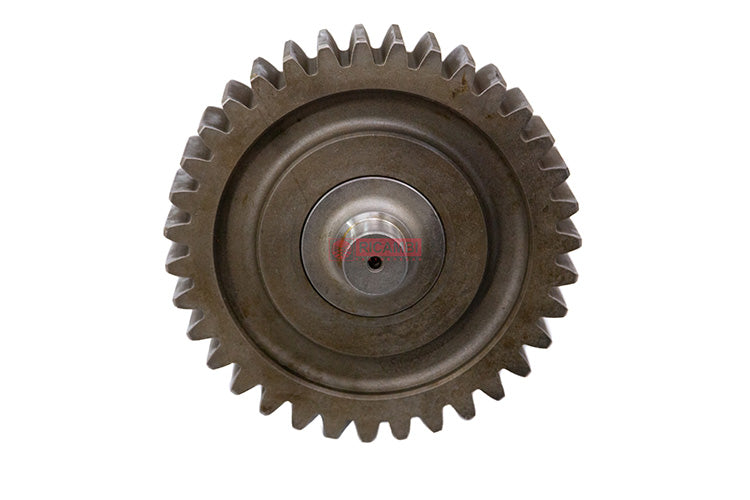 RC000071019-02 (1).jpg