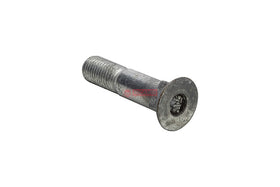 PARAFUSO LAMINA 252100838