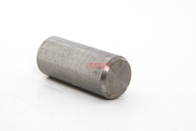 PINO TRAVA 146056A1