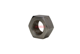 PORCA 370060497
