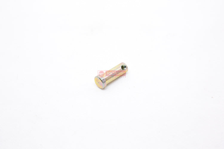 rc000082420-03.jpg