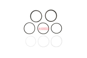 REPARO PINCA FREIO 75205816