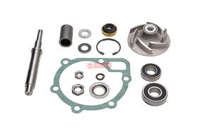 REPARO BOMBA AGUA 75205901