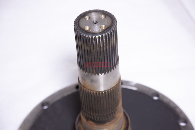 rc000173083-02.jpg