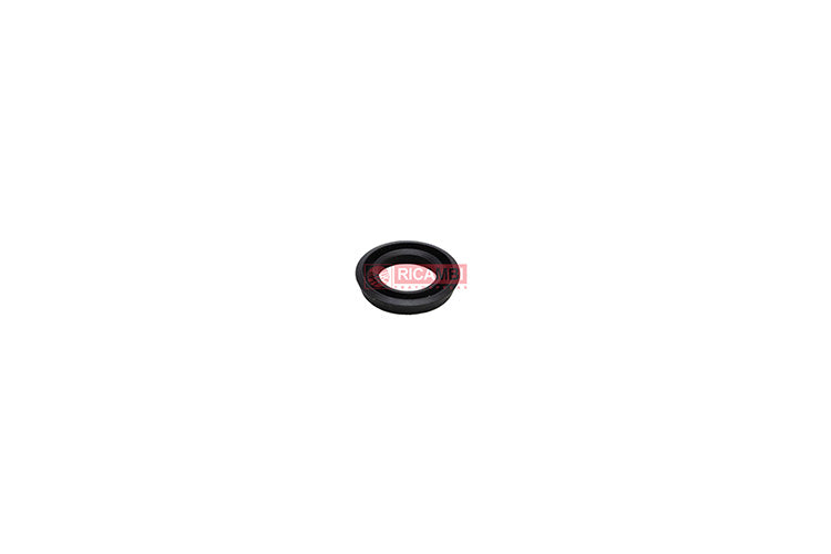 rc000189913-02.jpg