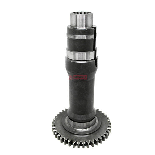rc000198581-02.jpg