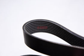 CORREIA POLY V 02/911895