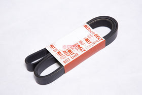 CORREIA POLY V 3290051