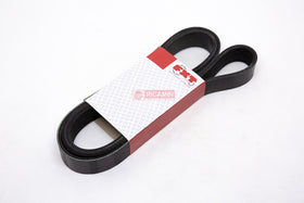 CORREIA POLY V 3911564