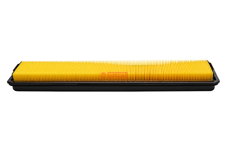 rc000358929-03.jpg