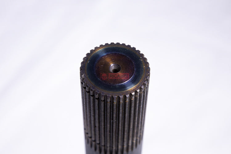 rc000364864-02.jpg