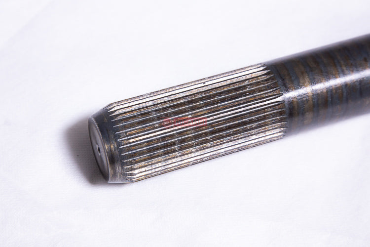 rc000364864-03.jpg