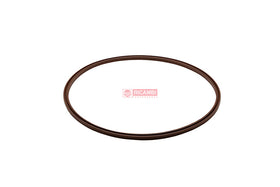 ANEL VRING VITON ZGAQ-03445