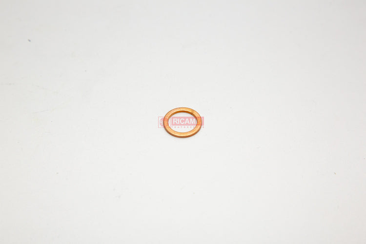 rc000389288-02.jpg