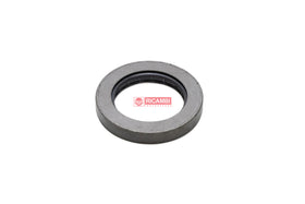 ANEL ORING VITON 199-0700