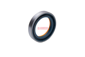 RETENTOR 100529A1