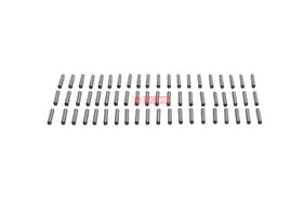 ROLETE ACO JG C/60 PCS 79063889