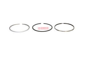 ANEIS PISTAO MOTOR STD 504241502