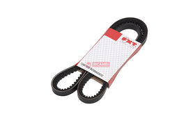 CORREIA DENTADA 20508640