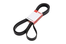 CORREIA POLY V 8PK2550