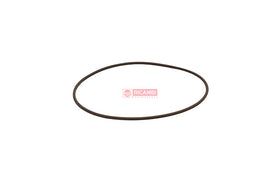 ANEL ORING VITON 1704825