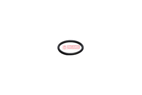 ANEL ORING ZTAM00170