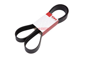 CORREIA POLY V 21455064