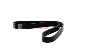 CORREIA POLY V 2802540