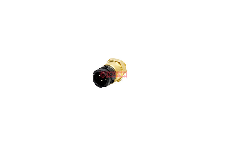 rc000449817-01.jpg