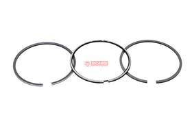 ANEIS PISTAO MOTOR STD 75311172