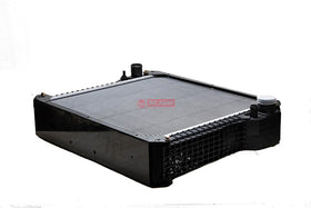 RADIADOR AGUA 87410098