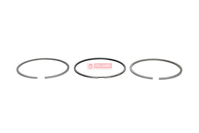 ANEIS PISTAO MOTOR STD DL5020