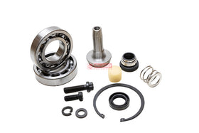 REPARO BOMBA AGUA 1700565