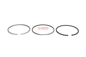 ANEIS PISTAO MOTOR STD 800056510000