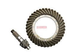 COROA E PINHAO TRASEIRA 6/38Z 815204