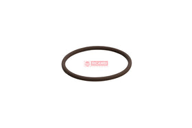 ANEL ORING VITON 1090074