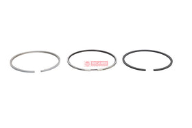 ANEIS PISTAO MOTOR STD 04394N0