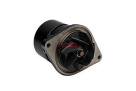 BOMBA AGUA MOTOR 860144079