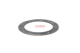 PLACA FLEX PLATE 117-9713