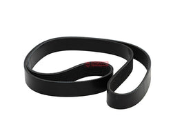 CORREIA POLY V J925953