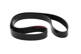 CORREIA POLY V 3911562