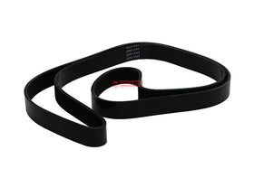 CORREIA POLY V 8PK1952