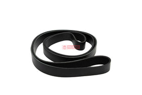 CORREIA POLY V 3972382