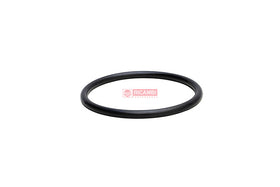 ANEL ORING E1613050