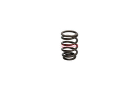MOLA VALVULA MOTOR 4360519