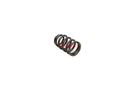 MOLA VALVULA MOTOR 436-0522