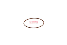 ANEL ORING VITON 2476019