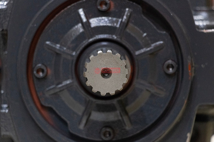 rc000589415-05.jpg